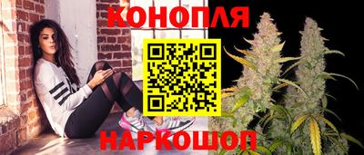 гидра Рязань