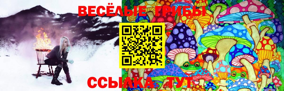Галлюциногенные грибы Cubensis Подольск