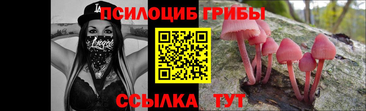 Подольск  Галлюциногенные грибы GOLDEN TEACHER  Вход с VPN 